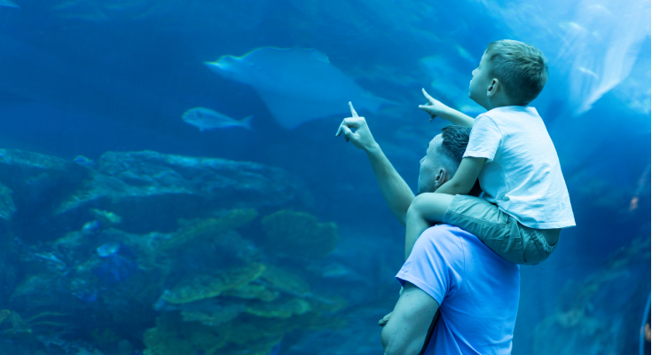Un p&egrave;re et son fils &agrave; l'aquarium Planet Ocean