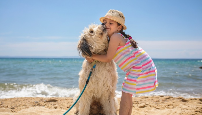 Chiens accept&eacute;s au camping L'Oasis Palavasienne