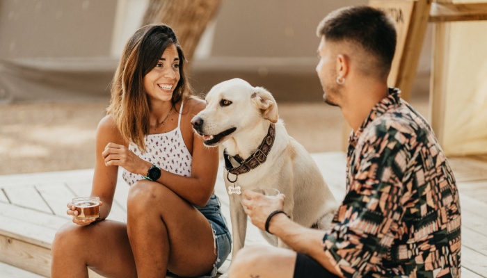 Camping acceptant les chiens &agrave; Palaavs-les-Flots